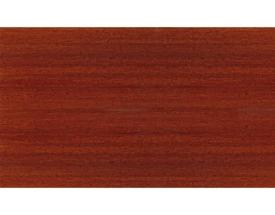 Remmers Pflegeöl Teak 2,5 l