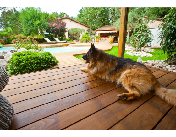 Kebony Terrassendiele Clear glatt ohne Nut
