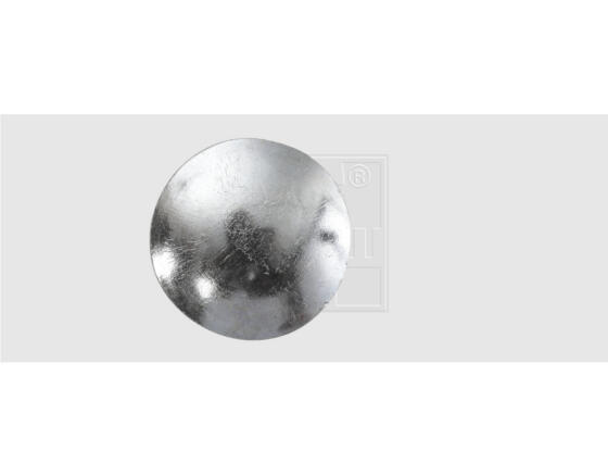 SWG Flachrundkopfschrauben mit Mutter 10x50