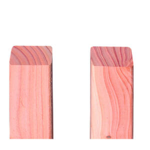 Scheerer Latte Altmark 3x5cm 1,00m Douglasie