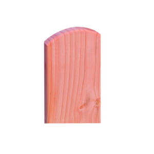 Scheerer Latte Friesen 2x10cm 1,20m Douglasie