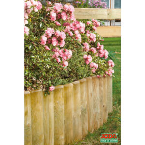 JODA Rollbords -KDI- 30 cm hoch 6 cm / 2,00 m